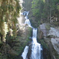 Black Forest  Picture 037.jpg